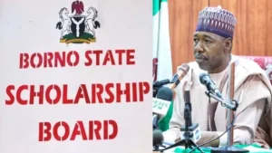Borno state scholarship